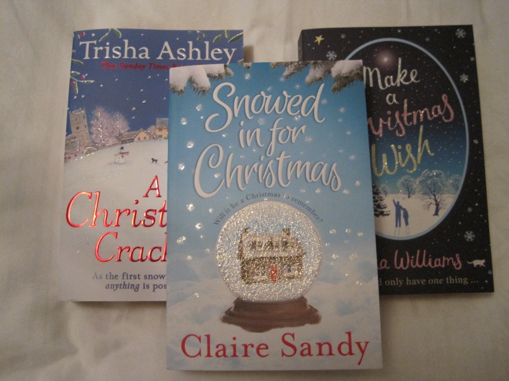 paperback christmas books