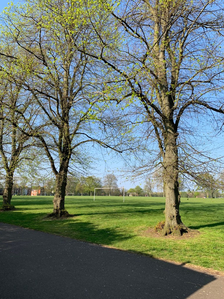a park on a sunny day