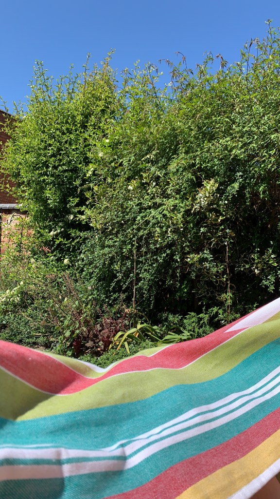 the edge of a hammock and a hedge