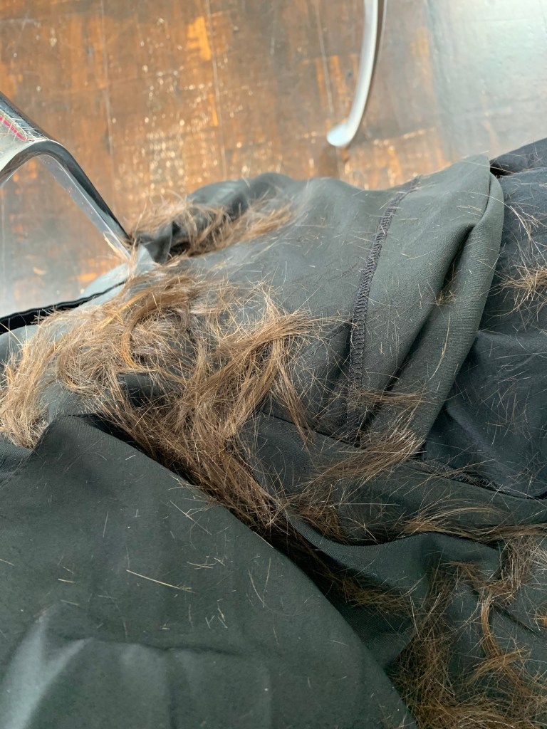 Evidence of haircut!