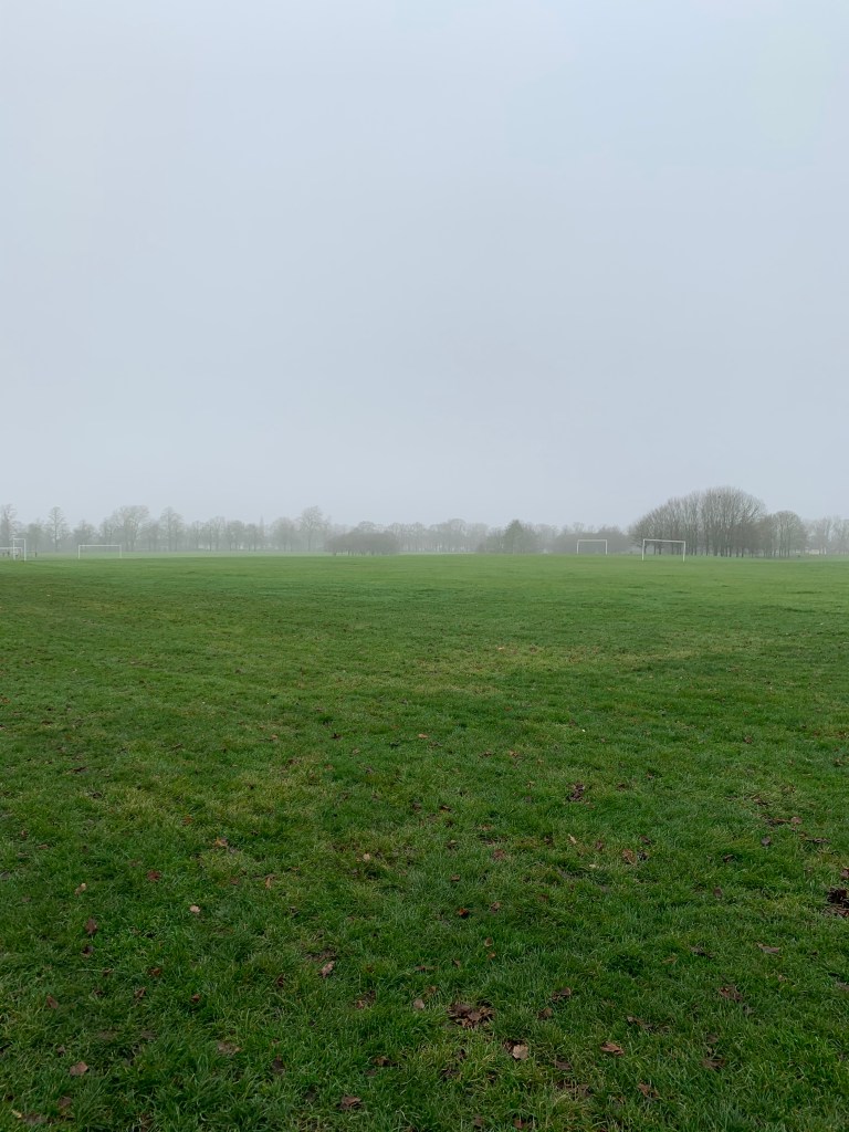 Misty morning in the park 
