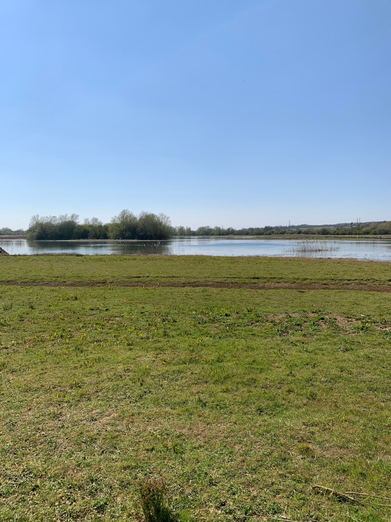 Lagoon-y lake-y thing at a nature reserve